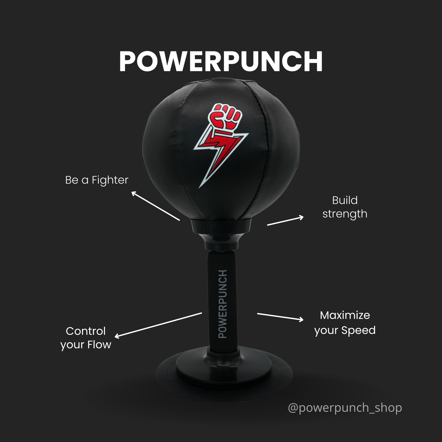 PowerPunch Bag